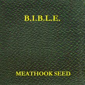 B.I.B.L.E.