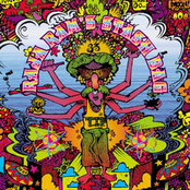 RAJA RAM'S STASH BAG