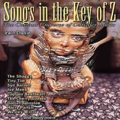 Songs In The Key Of Z