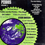 Pebbles, Volume 3: The Acid Gallery
