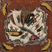 The Line That Shapes the Coast of Us