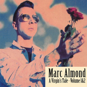 Broken Hearted And Beautiful by Marc Almond