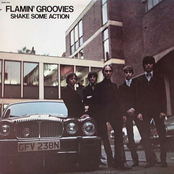 Flamin Groovies: Shake Some Action