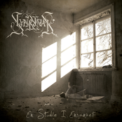 En Studie I Ensamhet (EP)