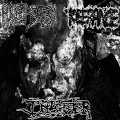 Tolerance / Phlegmsepsia / Infester