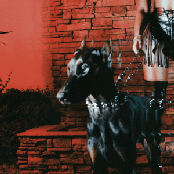 MUTT