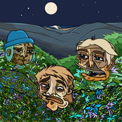 Hickory Brown - Single