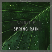 Spring Rain