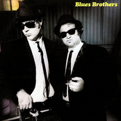 The Blues Brothers Soundtrack: Briefcase Full of Blues