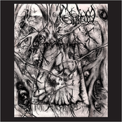Mycelium Shroud (extended version)