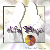 Wild Boys: The Album