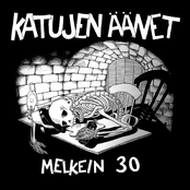 Melkein 30