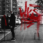 Wybrzeże Klatki Schodowej