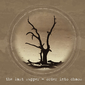 0 Degrees - Order into Chaos