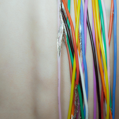 Narcissist (Stripped)