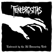 Darkness Casts A Final Veil by Tenebrositas