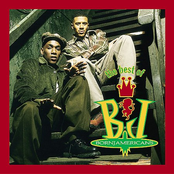 Very Best of Born Jamericans