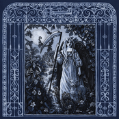 Faetooth: Labyrinthine