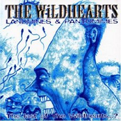 Stupid Things by The Wildhearts