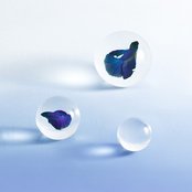 半醒 - Studio Live