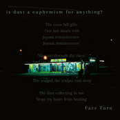 is dust a euphemism for anything?