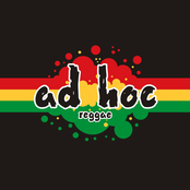 ad hoc reggae