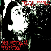 Disfunctional Perversion