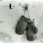 Take Your Time and Share the Harvest