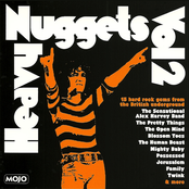Heavy Nuggets Vol. 2