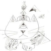 Dichotomy of memories