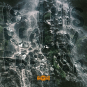 Is This Really Forever