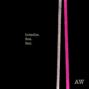 Breathe. See. Feel.