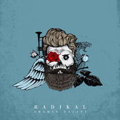 Shahin Najafi: Radikal