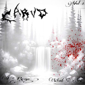 Carvd