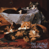 Kitty Kat Laundromat