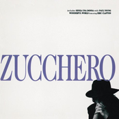 Zucchero