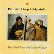 Peruvian Harp & Mandolin - Folk Music of the Andes