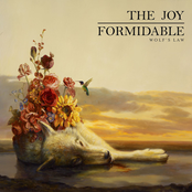 Wolf's Law by The Joy Formidable
