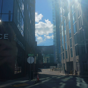 Blue Light and the Bloody Concrete (State Law)