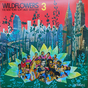Wildflowers 3: The New York Loft Jazz Sessions