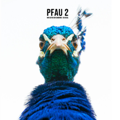 Pfau 2