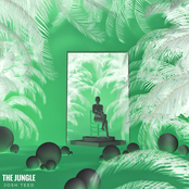Josh Teed: The Jungle