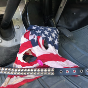 The Life and Times of Gigi Black 2