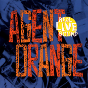 Somebody To Love by Agent Orange