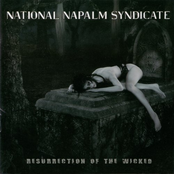 Falling To Pieces by National Napalm Syndicate