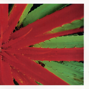 Coping With Senility (lowlife owns a pen)