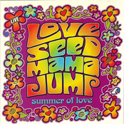 Love Seed Mama Jump: Summer Of Love