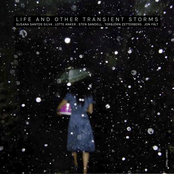 Life and Other Transient Storms