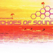 Need Somebody (Who Needs Me)