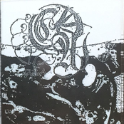 Even Biology Is Revolting Despite Its Natural Appeal